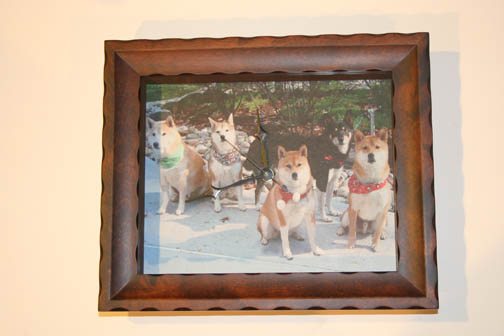 Your Dog's Picture Here - $50.00