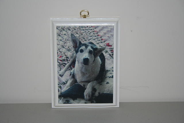 Bug/Memorial Plaque/Dog does not have to be a greyhound.