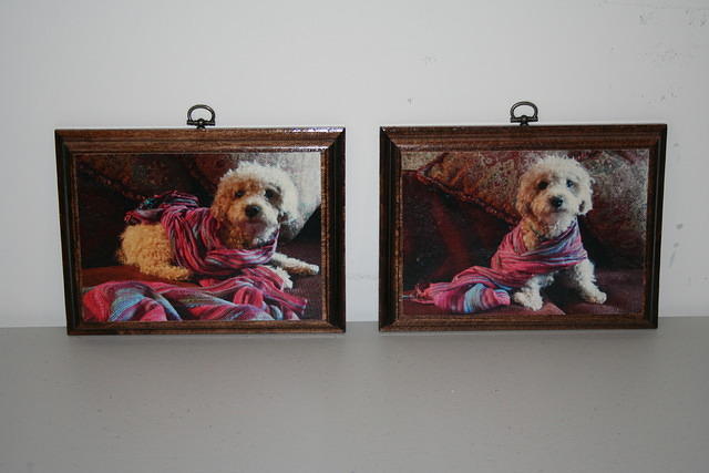 Peanut/Birthday gift plaques/Dog does not have to be a greyhound.