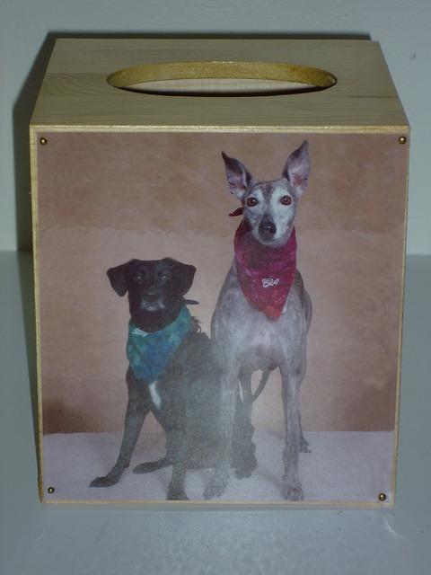 Custom Tissue Box Featuring Dog Photo