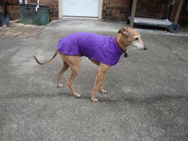 Charlie in Skulls and Hearts T-shirt