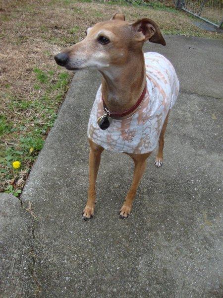 Charlie in Flannel Housecoat