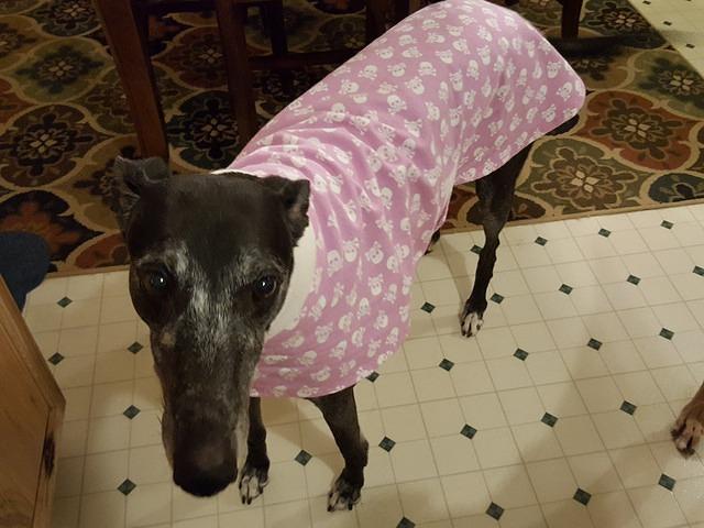 Rita Rocking Her Skulls Housecoat