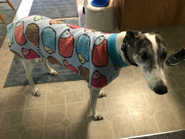 Bakin's new Hedge Hogs Fleece Coat