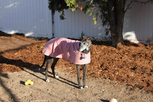 Danica in her pink paisley housecoat.