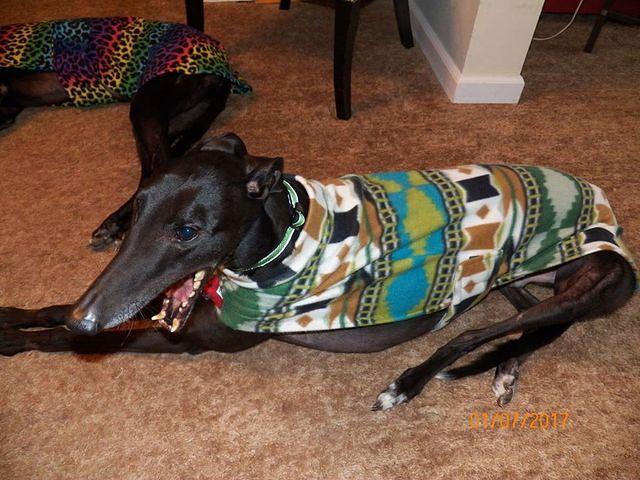 Dom in South West Print