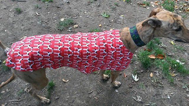 Elise in Red Dalmations Housecoat