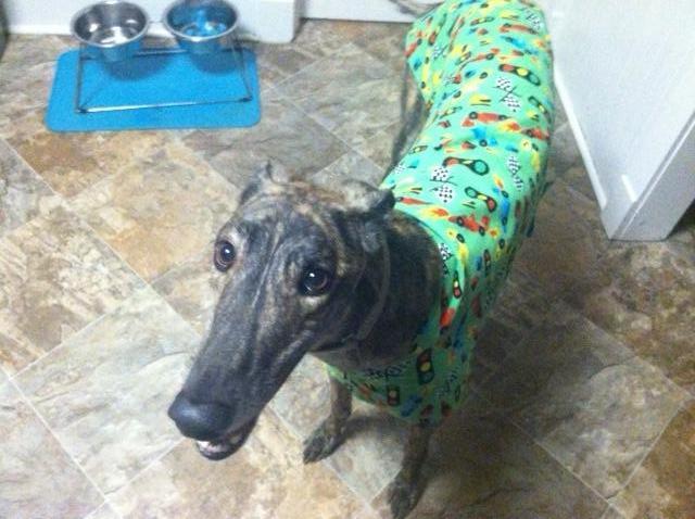 Eros in Green Racing Cars Housecoat