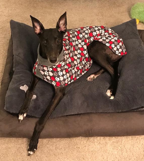 Fee in 100% Cotton House Coat