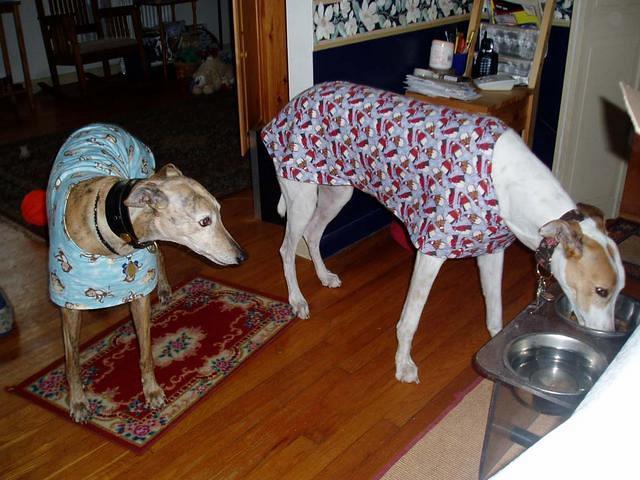 Fiona Blue Monkeys and Andy Penguins in Sweaters