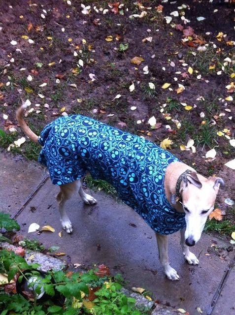 Fred in Skulls  House Coat