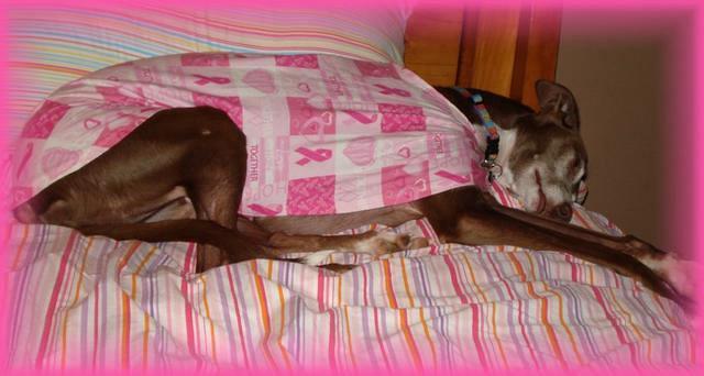 Gigi Breast Cancer Awareness Housecoat