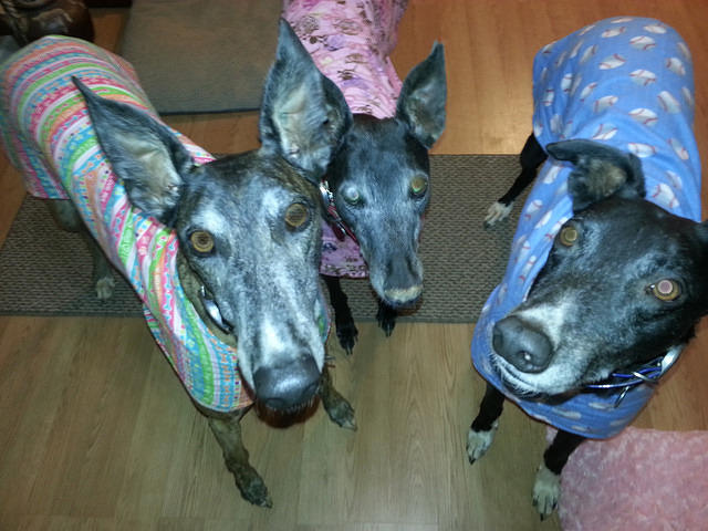 Gossip, Lovie and Dean