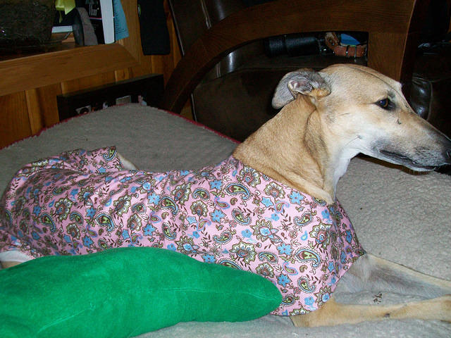 Hannah in Pink Paisley Flannel