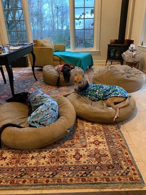 Heckle, Jeckle and Roo