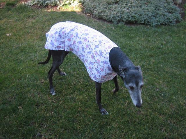 Holly in Hippos Flannel Housecoat