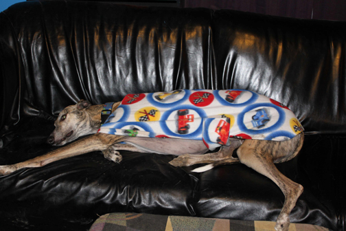 Jupiter in his fleece housecoat.