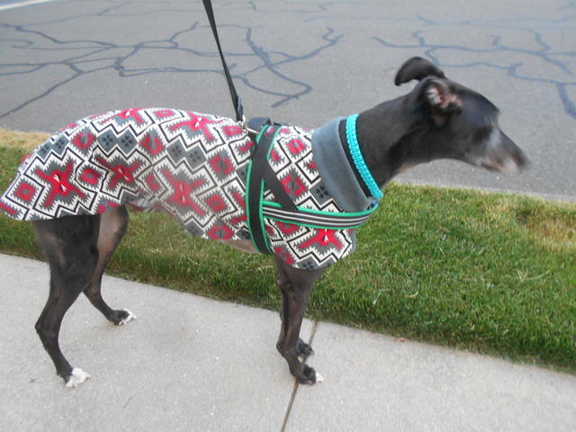 Kramer in the Neighborhood