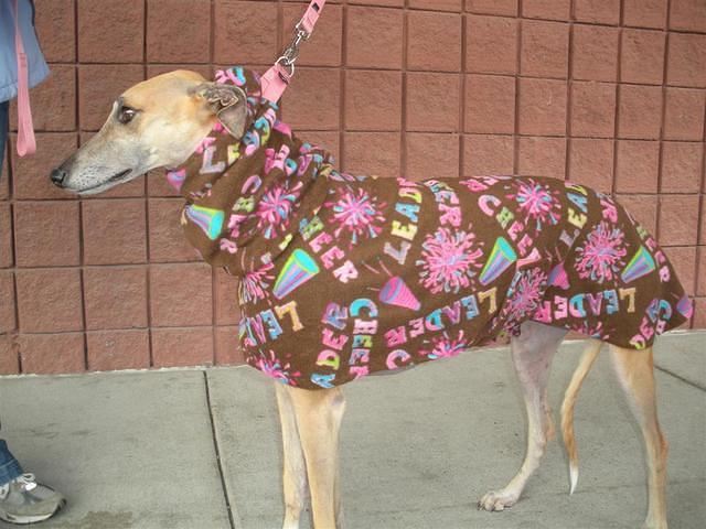 Liberty in Cheer Leader Fleece w/Snood