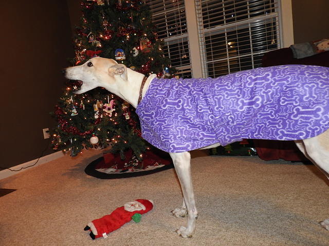 Lucas in purple fleece jacket