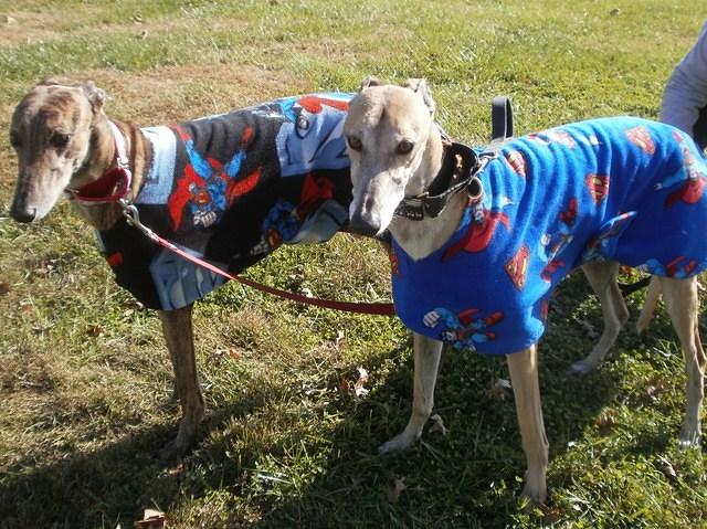 Luke and Linius wearing custom Superman coats.