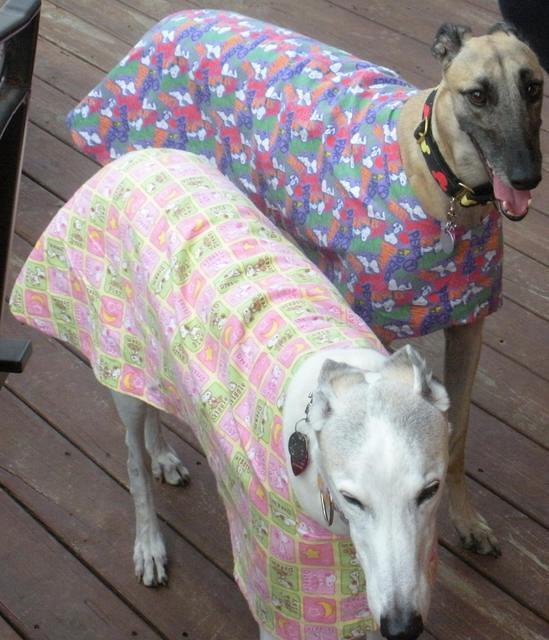 Nellie and Clementine