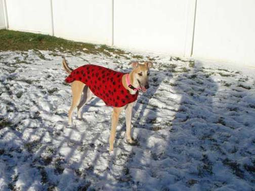 Nita in Paw Print Coat