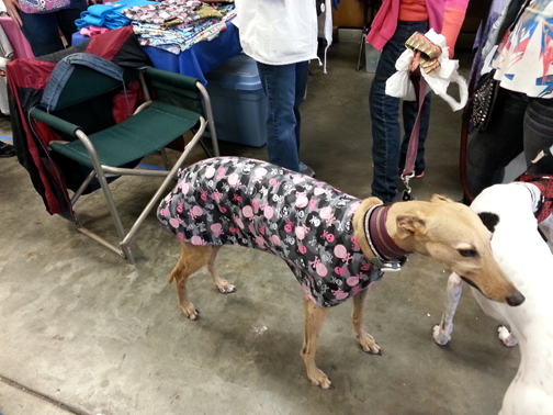 Pixie in Girlie Skulls