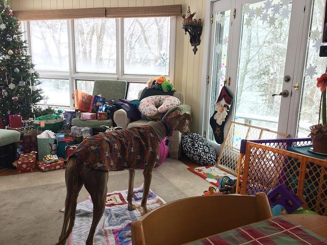 Prescott on Christmas