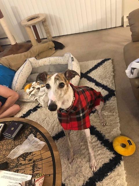 Sal In His Red Plaid Fleece Jacket
