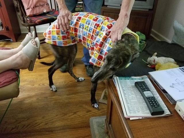 Sangria in Fruit Loops Housecoat