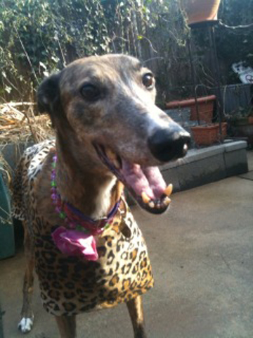 Smiling Helga in Faux Fur