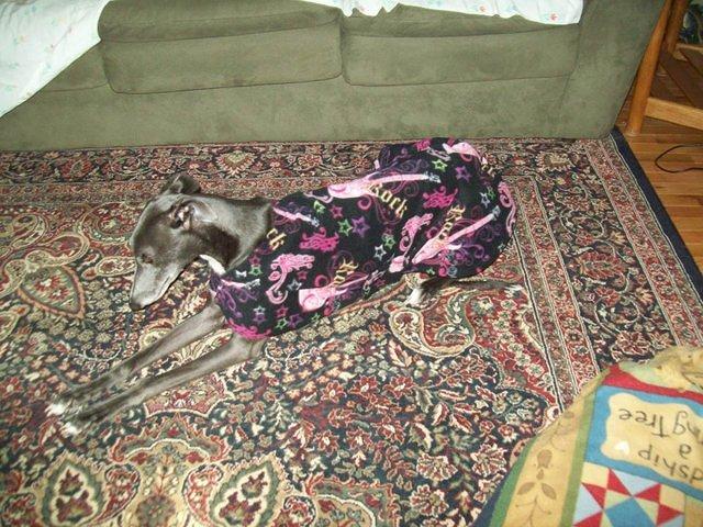 Sprinkles new jammies