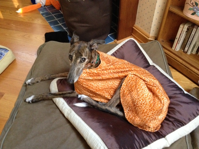 Suzi Q in Giraffe Faux Fur