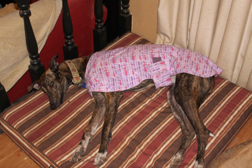 Zuki in her "Trouble" flannel housecoat.