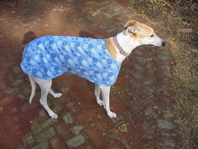 Zuzu in Snowflake Housecoat