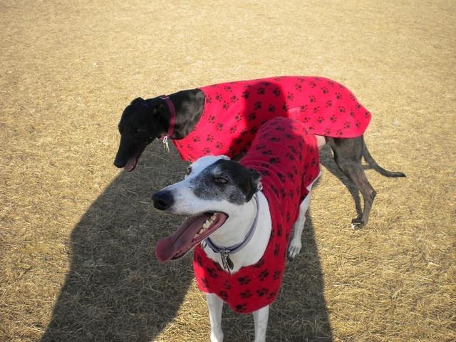 Beatrice and Dillard