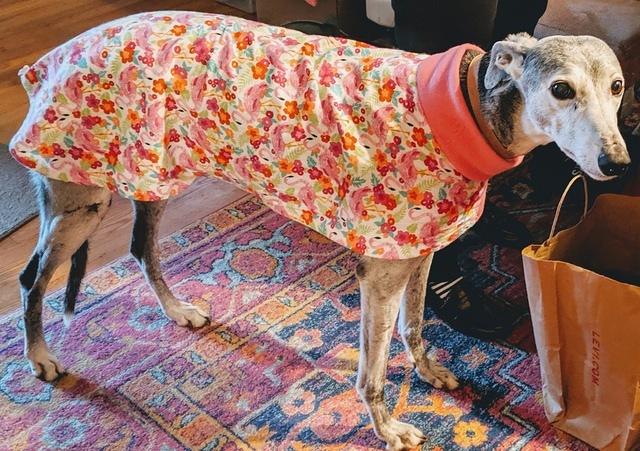 Livie in Pink Flamingos