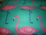 Pink Flamingos