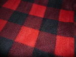 Red and Black Buffalo Check