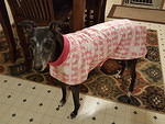 Rita in her Bunnies Housecoat