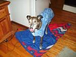 Burnie Snow Flakes Fleece Housecoat