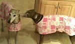 Malfi and Gigi Breast Cancer Awareness Housecoat