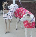 Nellie and Clementine 3