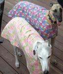 Nellie and Clementine